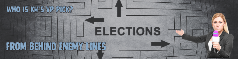 elections sign inside a maze