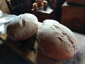 Fresh bread loaves.