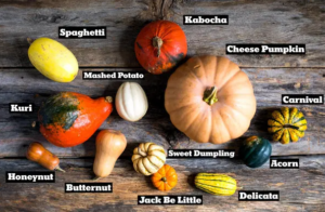 Varieties of Winter Squash