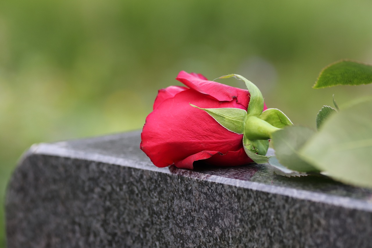 single red rose, black marble, love symbol