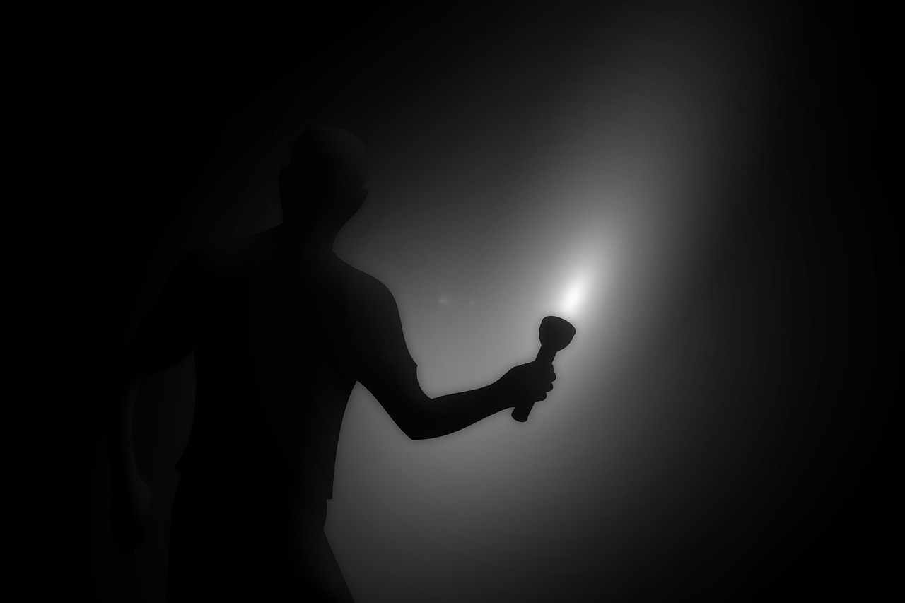 flashlight, blackout, power failure, energy, energy crisis, night, dark, supply failure, catastrophe, power supply, power plant, nuclear power plant, oil, gas, natural gas, green energy, error, breakdown, failure, heating, electricity, report, flashlight, flashlight, blackout, blackout, blackout, blackout, blackout, failure