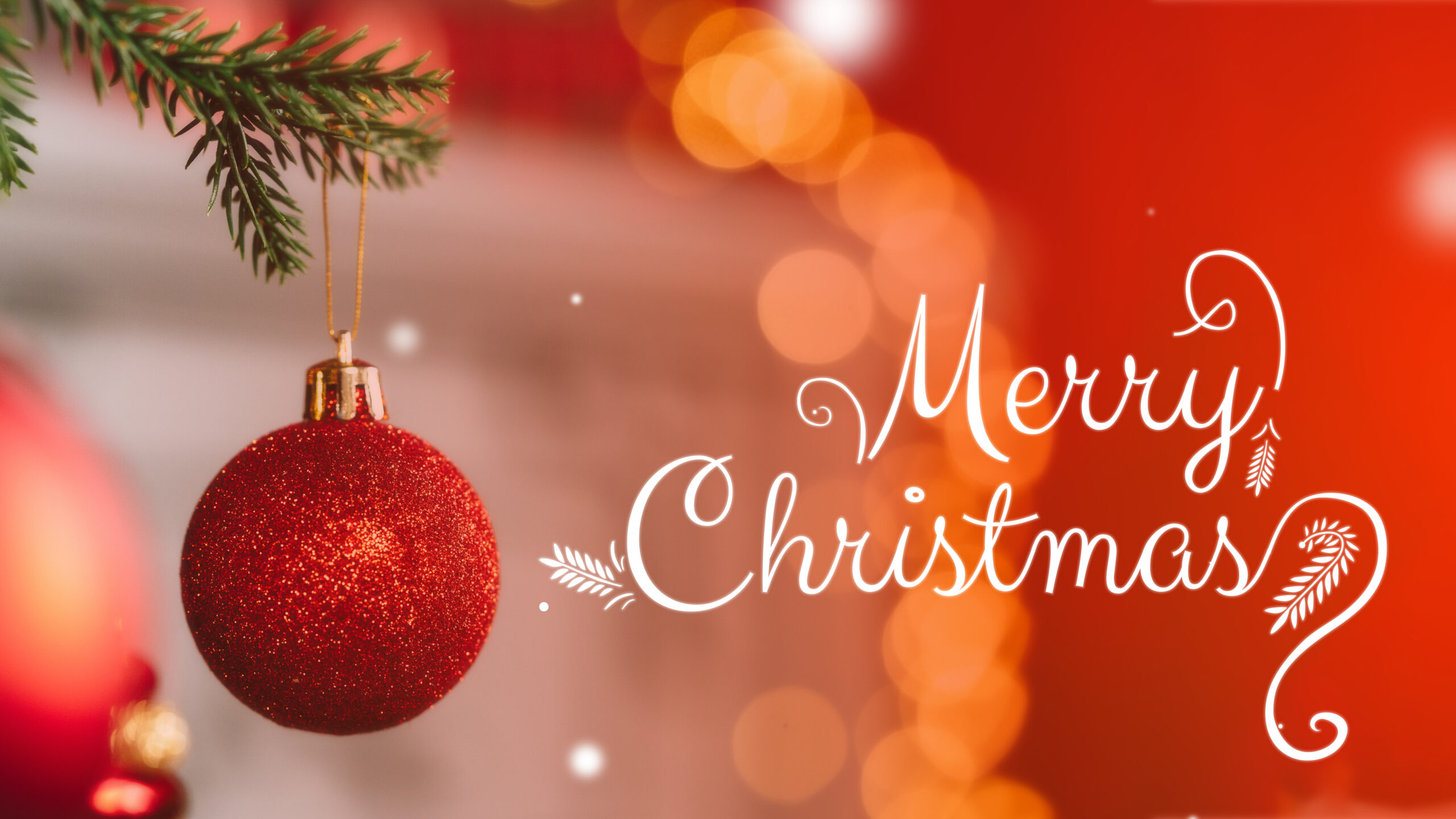 A shiny red ornament hangs from a green pine branch with a blurred glowing background.