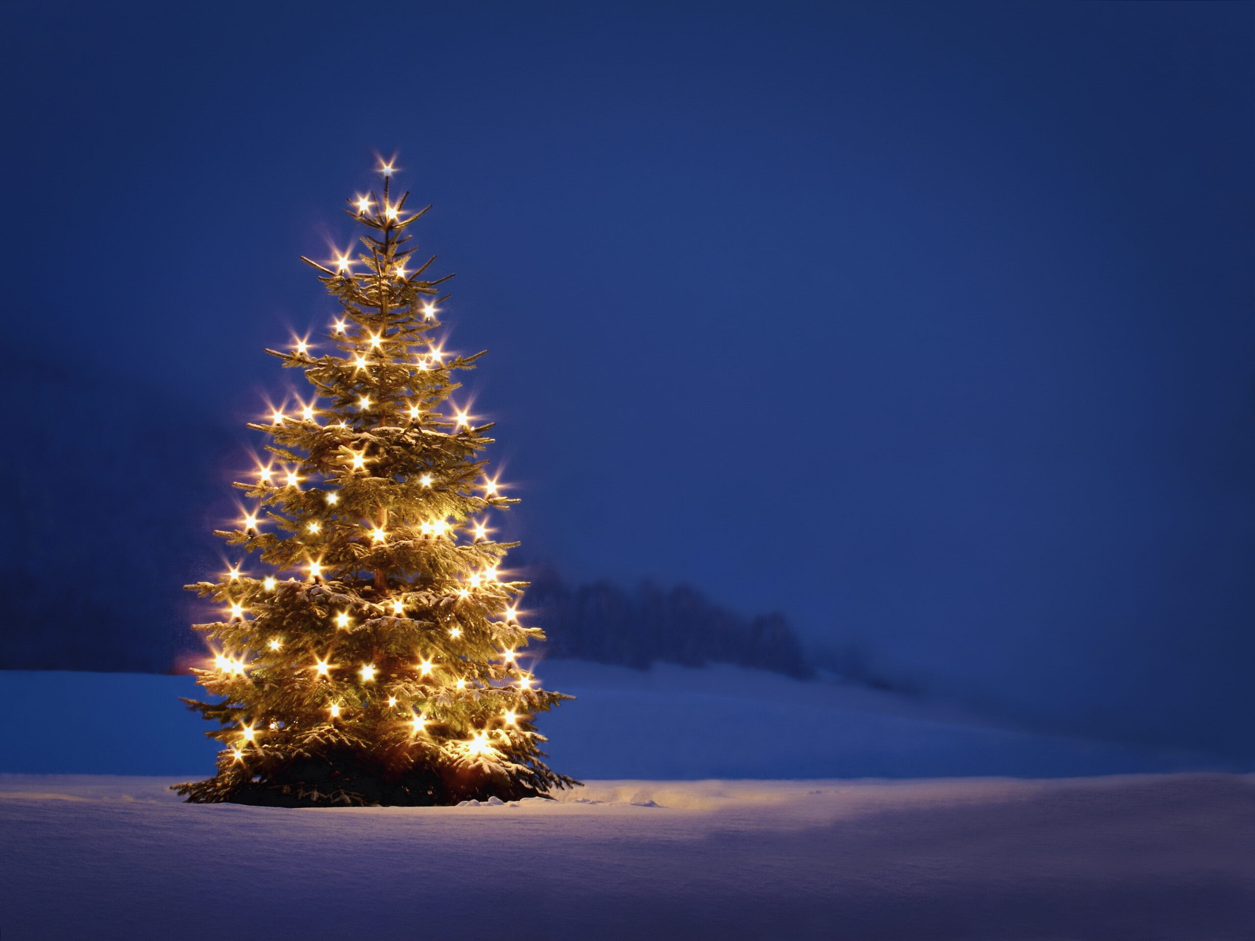 Christmastree on a meadow illuminatet by candles. outdoors in snow, romantic twilight