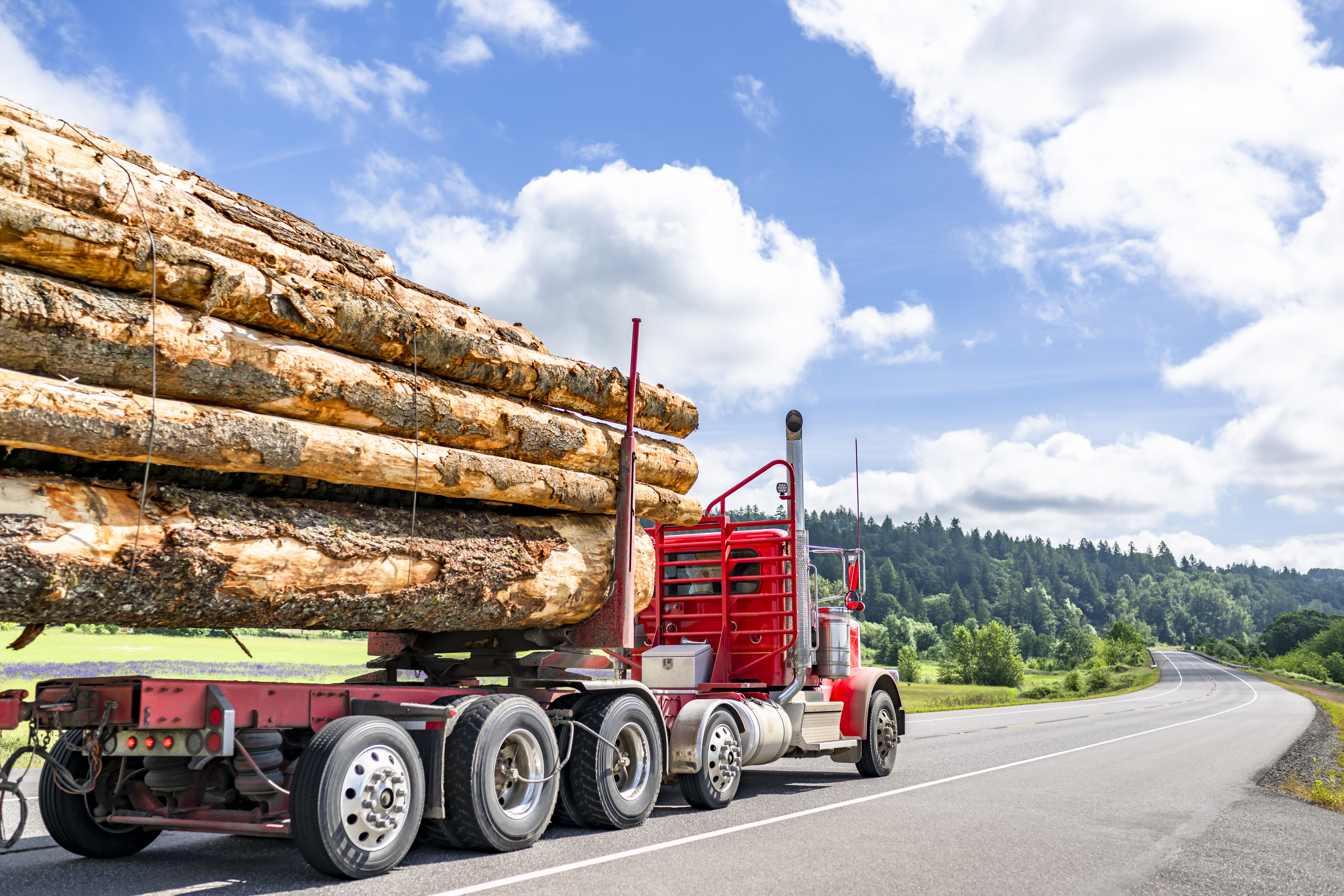 Industrial day cab big rig powerful red semi truck tractor with back protection wall and chrome parts transporting trees logs on special semi trailer running on the flat road in Columbia Gorge area