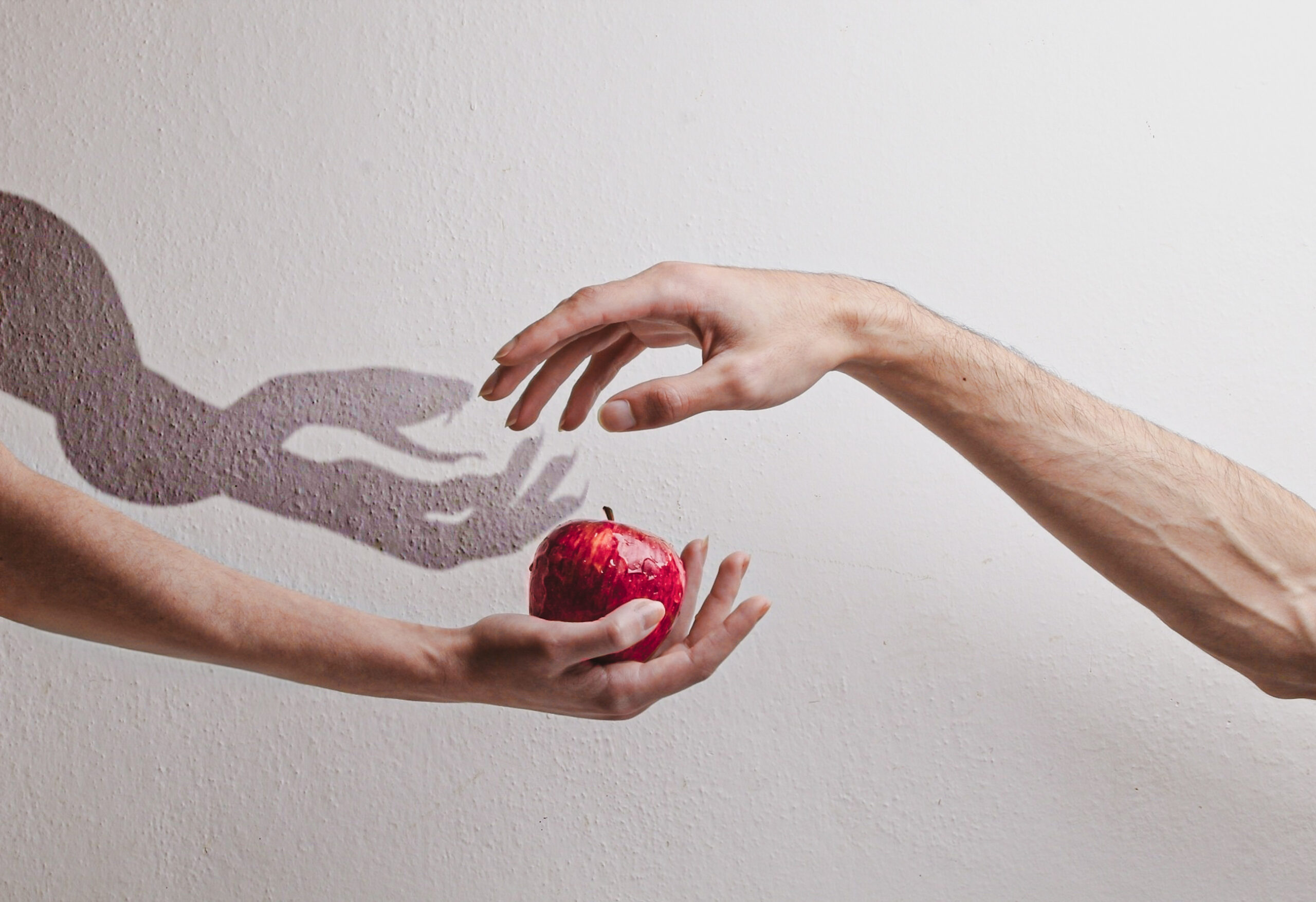 Two hands are extended: the woman's hand offers a red apple to the man's hand. The shadow cast by his hand shows a snake instead of the apple. Genesis 3:1-6 Eve, Adam, Lilith. The original sin.